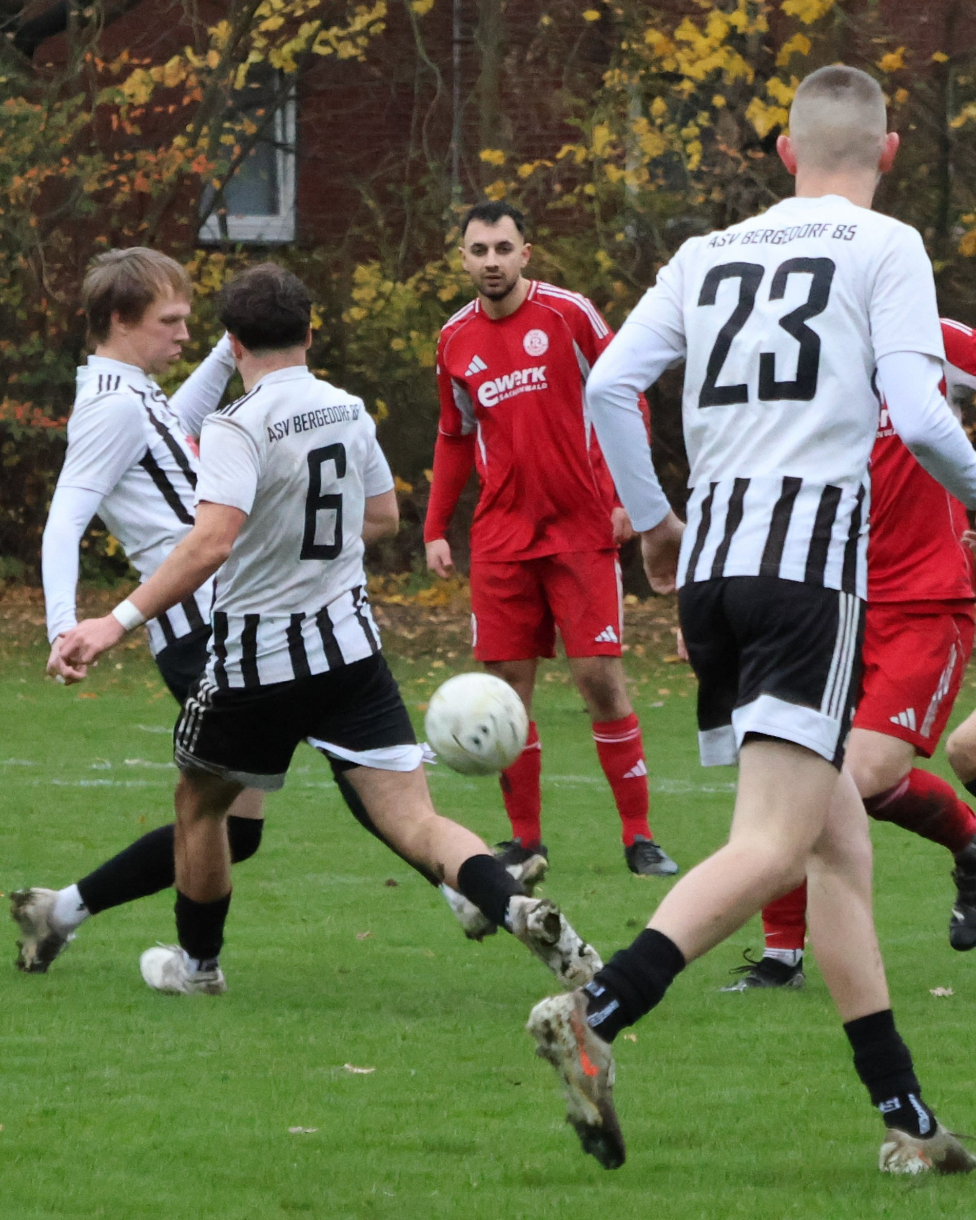 Erstes Saisonfinale
Am übernächsten Wochenende endet im Erwachsenenbereich für fast alle Mannschaften die Saison. Unsere 1. Frauen bestreiten aber bereits an diesem Wochenende ihr letztes Saisonspiel. Vorschau auf die Spiele unserer Mannschaften vom 15. bis 17.5.26
https://asv-bergedorf85-fussball.de/saisonfinale-3/
#asvbergedorf85 #bergedorf #lohbrügge #elstern #elsternladys #fussball #frauenfussball #tsvreinbek #scschwarzenbek #hammunitedfc #fcstpauli #escheburgersv #bezirksliga #kreisliga #kreisklasse