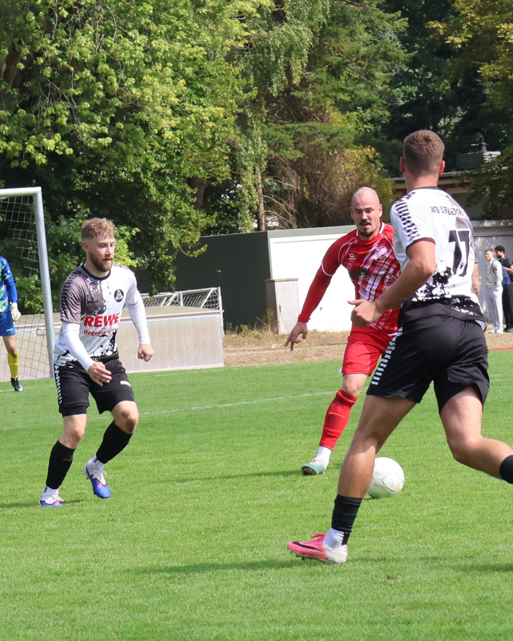Spannende Partie
In einer bis zum Abpfiff spannenden Begegnung, mussten sich unsere 1. Herren dem FSV Geesthacht mit 2:3 geschlagen geben.
https://asv-bergedorf85-fussball.de/spannende-partie/
#asvbergedorf85 #bergedorf #lohbrügge #elstern #elstern85 #fussball #kreisliga #fsvgeesthacht