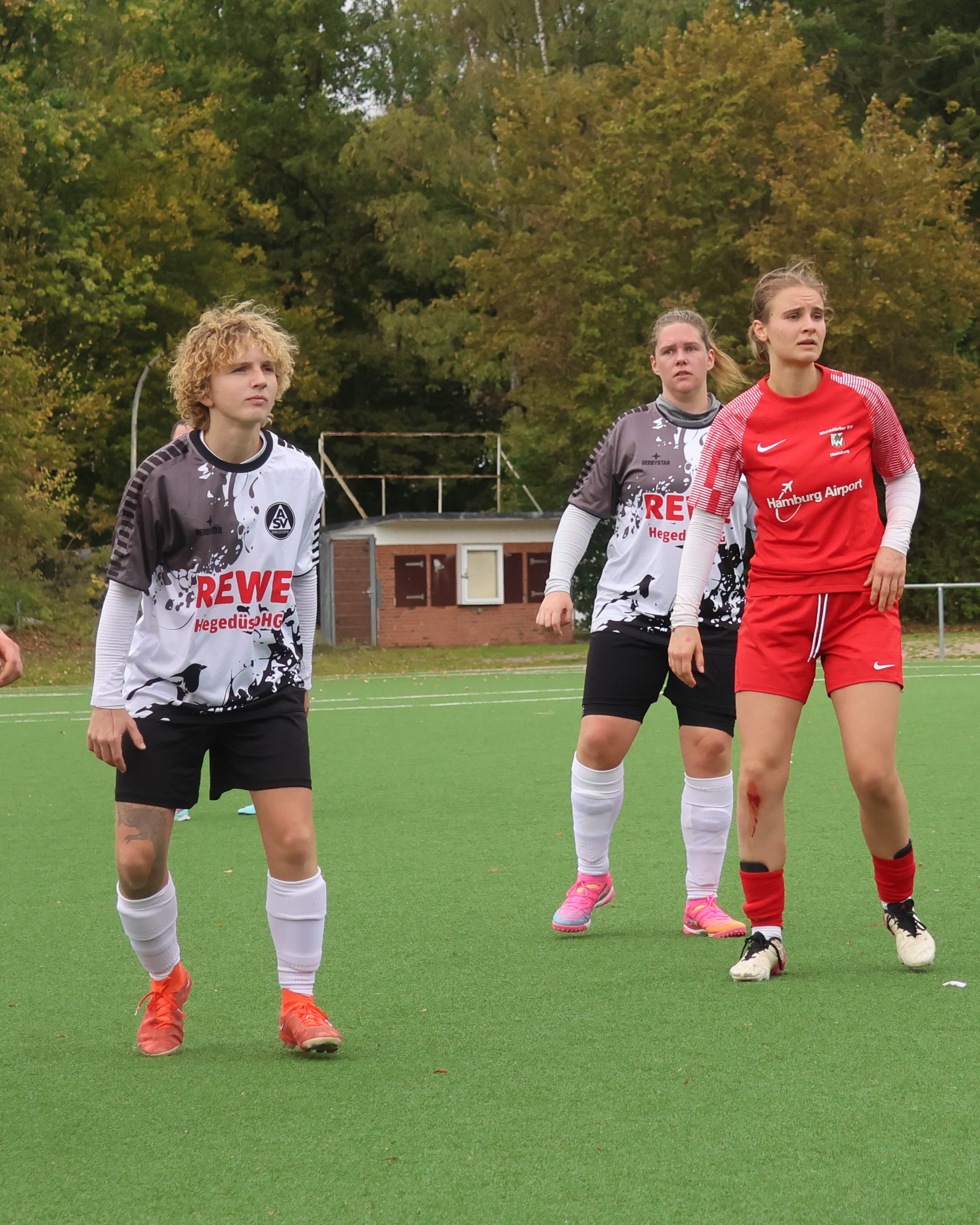 Ein Muster
Unsere 1. Frauen gewannen ihr Heimspiel gegen Walddörfer 2 mit 4:0. Dabei fielen mehrere Treffer nach dem gleichen Muster.
https://asv-bergedorf85-fussball.de/ein-muster/
#asvbergedorf85 #bergedorf #lohbrügge #elstern #elsternladys #fussball #frauenfussball #walddörfersv #bezirksliga
