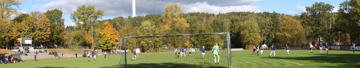 ASV Bergedorf 85 – Fußballabteilung